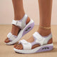 Blanco / Morado